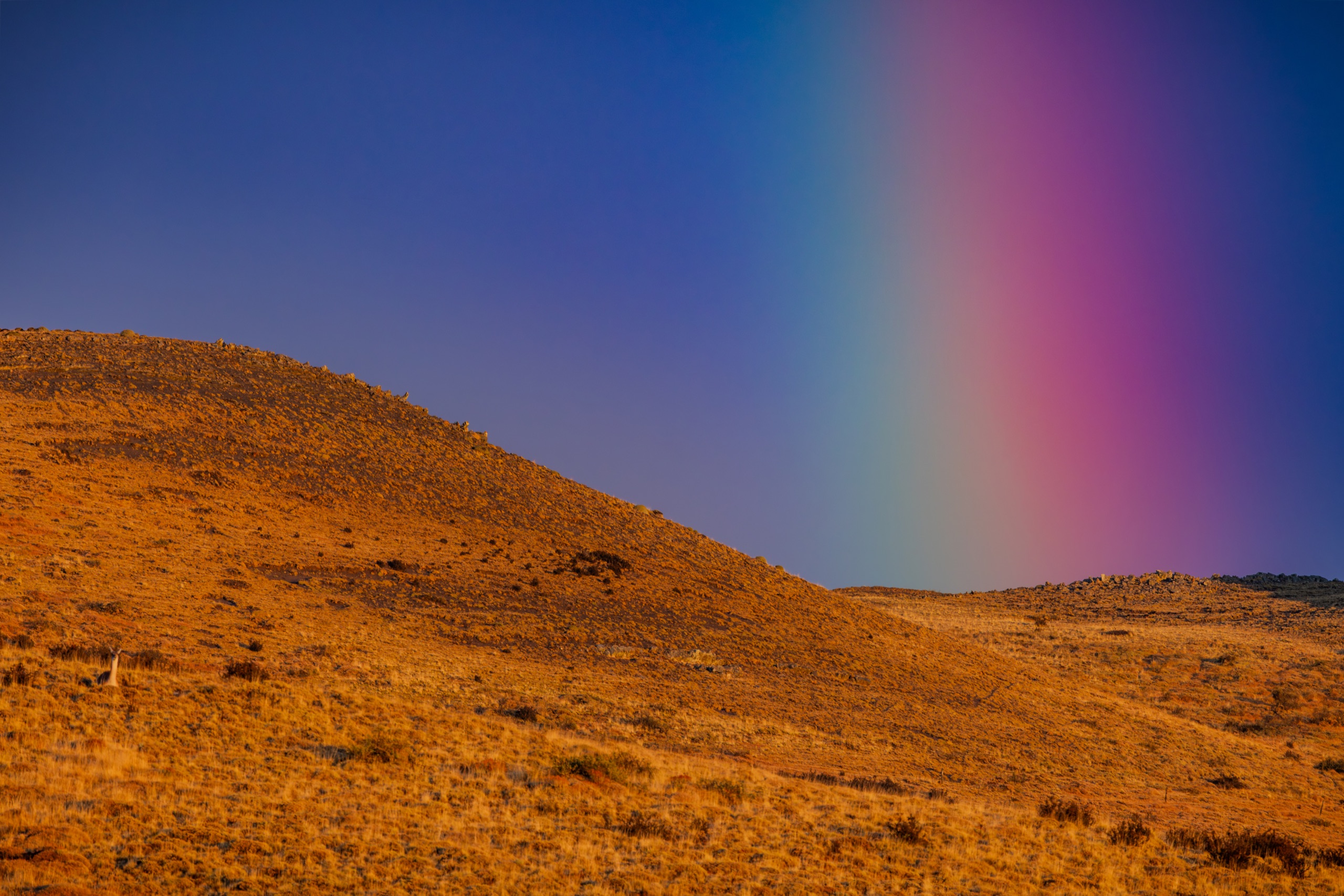 A rainbow standing over golden hills in the Atacama