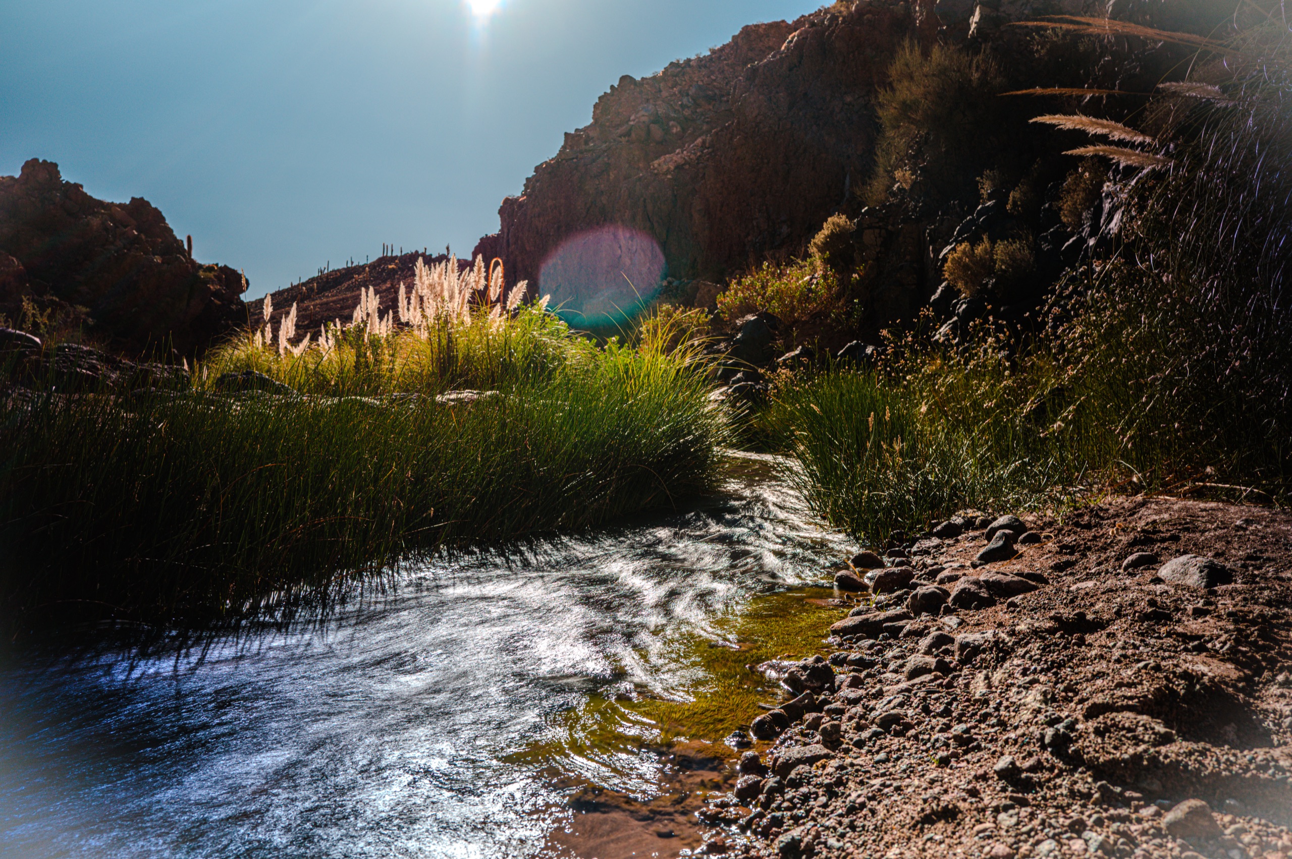A desert stream catching the sun