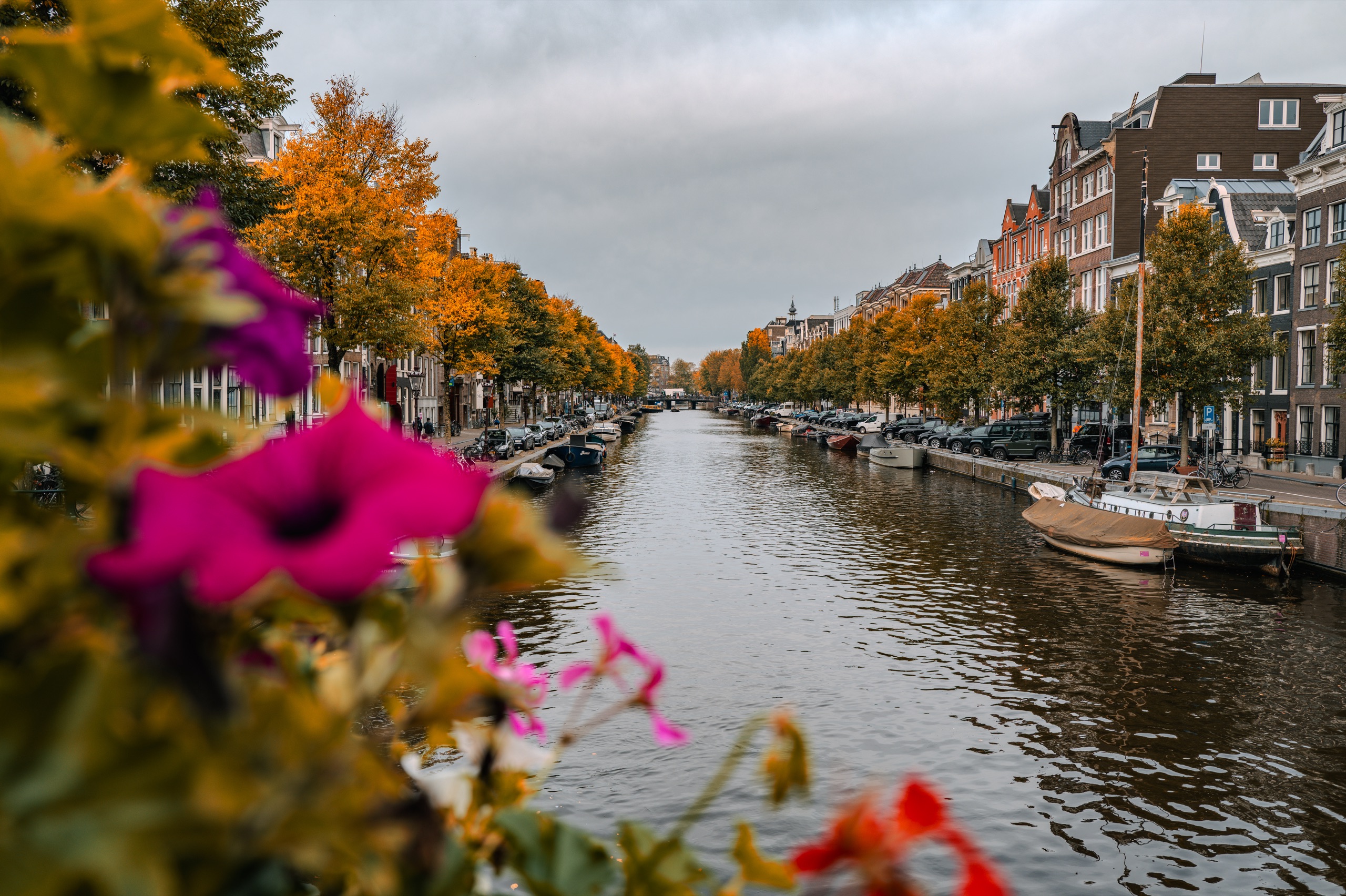 An Amsterdam canal in autumn